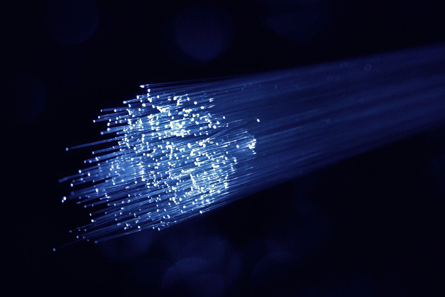 A bundle of fibre optic strands glowing pale blue against a black background